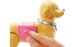 Barbie Wandelen & Trainen Puppy