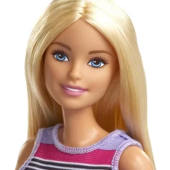 Barbie Dream Careers Speelset -Barbie 0887961943597 6